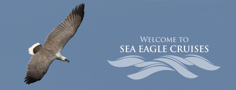 Sea Eagle Cruises